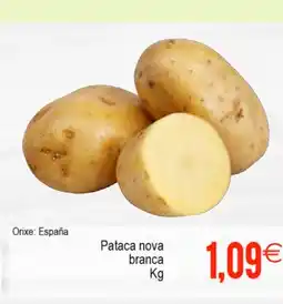 Plenus Supermercados Pataca nova branca oferta