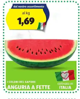 Lidl Anguria a fette oferta