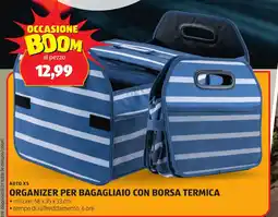 Lidl Organizer per bagagliaio con borsa termica oferta