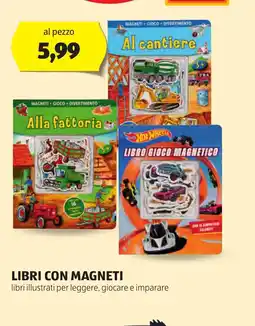 Lidl Libro gioco magnetico oferta