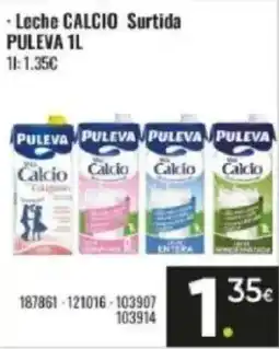 Family Cash PULEVA Leche calcio surtida oferta