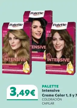Coviran PALETTE Intensive Creme Color 1,5 y 7 oferta