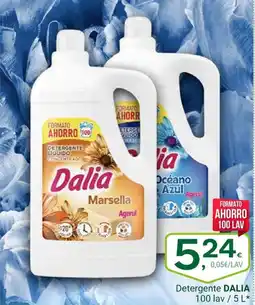 Supermercados Dani DALIA Detergente oferta