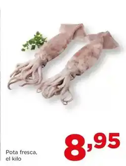 Alimerka Pota fresca oferta