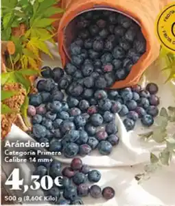 Gadis Arándanos oferta