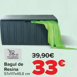 Carrefour Bagul de Resina oferta