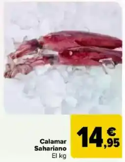 Carrefour Calamar Sahariano oferta