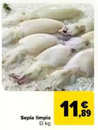 Carrefour Sepia limpia oferta