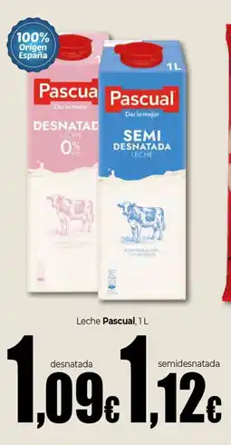 UDACO PASCUAL Leche oferta