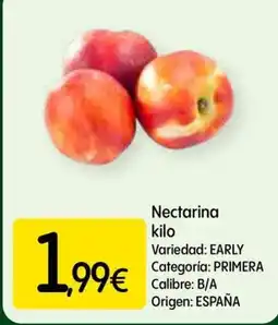 Dialprix Nectarina oferta