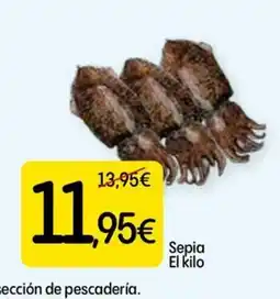 Dialprix Sepia oferta