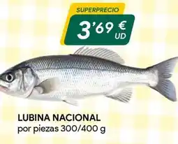 Masymas Lubina nacional oferta