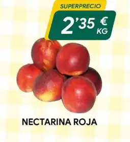 Masymas Nectarina roja oferta