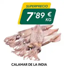 Masymas Calamar de la india oferta