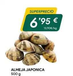 Masymas Almeja japonica oferta