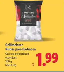 Lidl Grillmeister Nubes para barbacoa oferta