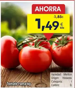 FROIZ Tomate rama oferta