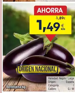 FROIZ Berenjena oferta