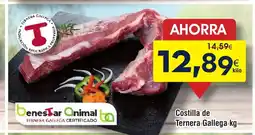 FROIZ Costilla de Ternera Gallega oferta