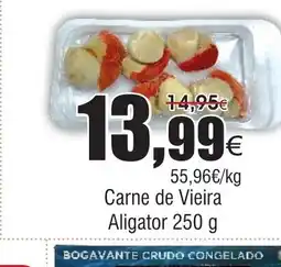 FROIZ Carne de Vieira oferta