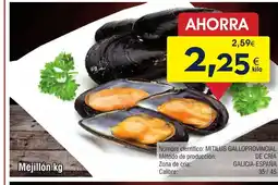 FROIZ Mejillón oferta