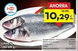 FROIZ Lubina oferta