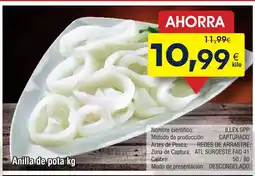 FROIZ Anilla de pota oferta