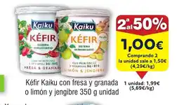 FROIZ Kéfir Kaiku con fresa y granada o limón y jengibre oferta
