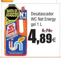 FROIZ Desatascador WC Net Energy oferta