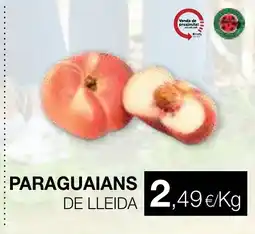 Plusfresc Paraguaians de lleida oferta