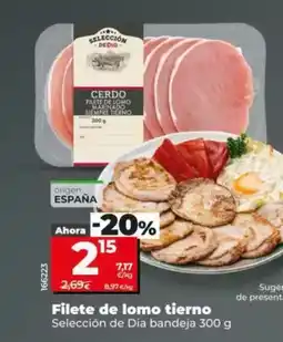 Dia Seleccion de dia - filete de lomo tierno oferta
