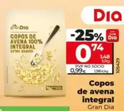 Dia Gran dia - copos de avena integral 500 g oferta