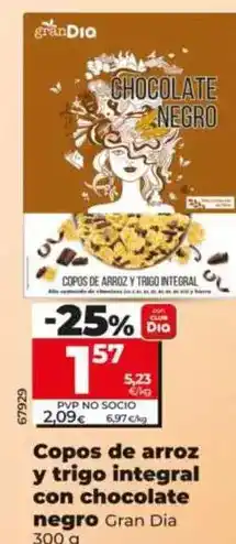 Dia Gran dia - copos de arroz y trigo integral con chocolate negro 300 g oferta