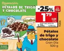 Dia Gran dia - pétalos de trigo y chocolate 500 g oferta