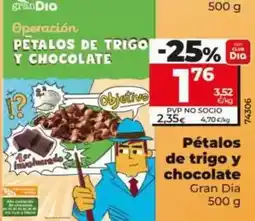 Dia Gran dia - pétalos de trigo y chocolate oferta