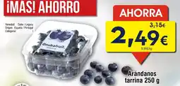 FROIZ Mas - arándanos tarrina oferta