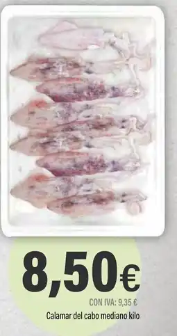 Cash Ifa Calamar del cabo mediano oferta
