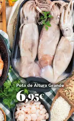 Gadis Pota de Altura Grande oferta