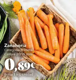 Gadis Zanahoria oferta