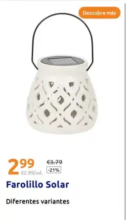 Action Farolillo Solar oferta