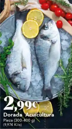 Gadis Dorada Acuicultura oferta