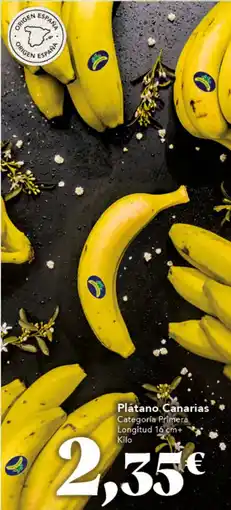 Gadis Plátano Canarias oferta