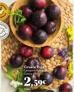 Gadis Ciruela Roja oferta