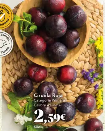 Gadis Ciruela Roja oferta