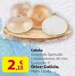 Alcampo Galicia - cebola oferta