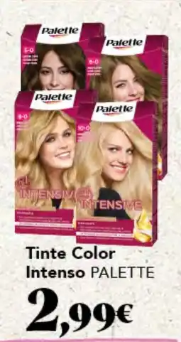 Gadis PALETTE Tinte Color Intenso oferta
