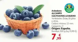 Alcampo Arándano alcampo cultivamos bueno oferta