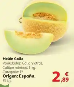 Alcampo Melón Galia oferta