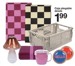 Zeeman Caja plegable desde oferta