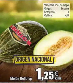 FROIZ Melón Bollo oferta